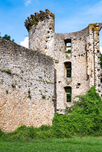 Ruines d'un château fort en pierre entouré de verdure, notre zone d'intervention